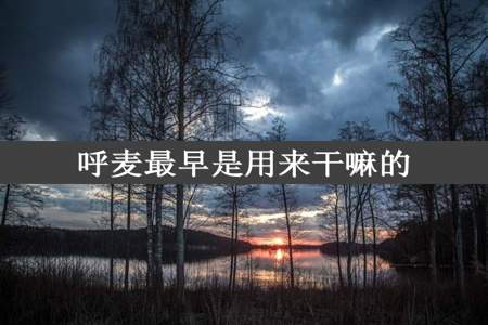 呼麦最早是用来干嘛的