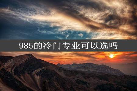 985的冷门专业可以选吗