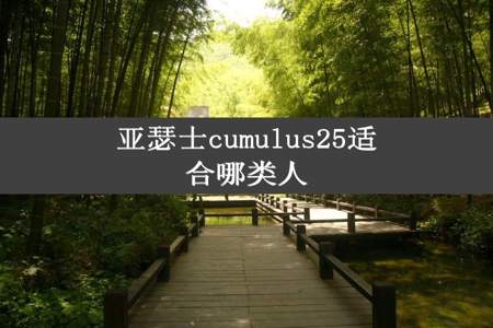 亚瑟士cumulus25适合哪类人