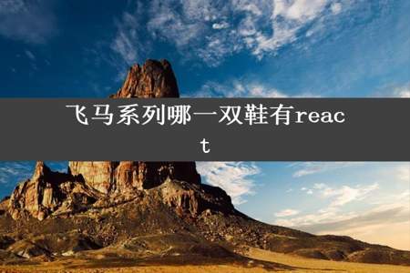 飞马系列哪一双鞋有react