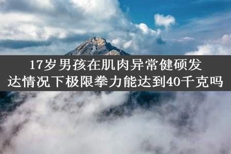 17岁男孩在肌肉异常健硕发达情况下极限拳力能达到40千克吗