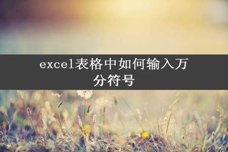 excel表格中如何输入万分符号