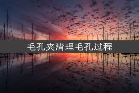 毛孔夹清理毛孔过程