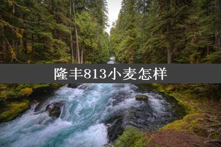 隆丰813小麦怎样