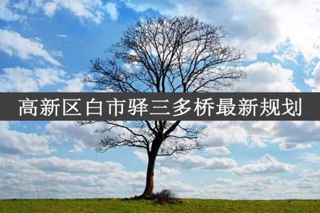 高新区白市驿三多桥最新规划