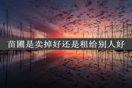 苗圃是卖掉好还是租给别人好