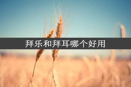 拜乐和拜耳哪个好用