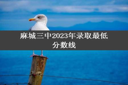 麻城三中2023年录取最低分数线