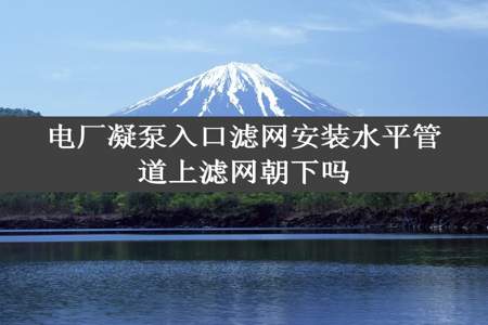 电厂凝泵入口滤网安装水平管道上滤网朝下吗