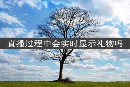 直播过程中会实时显示礼物吗