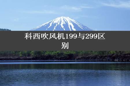 科西吹风机199与299区别