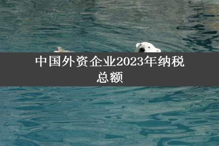 中国外资企业2023年纳税总额