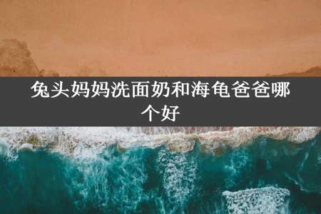 兔头妈妈洗面奶和海龟爸爸哪个好