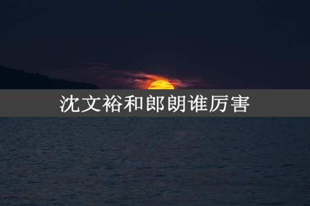 沈文裕和郎朗谁厉害