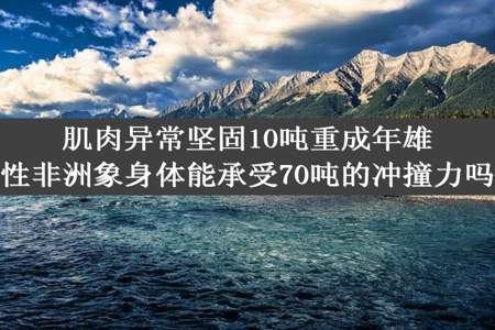 肌肉异常坚固10吨重成年雄性非洲象身体能承受70吨的冲撞力吗