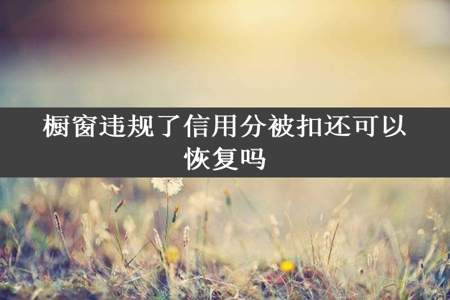 橱窗违规了信用分被扣还可以恢复吗