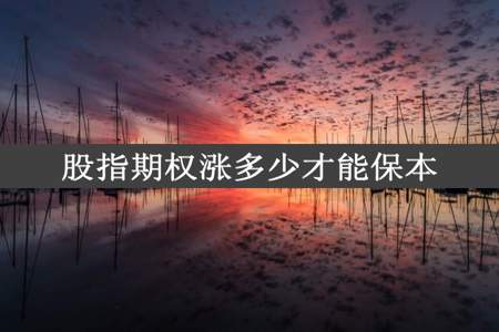 股指期权涨多少才能保本