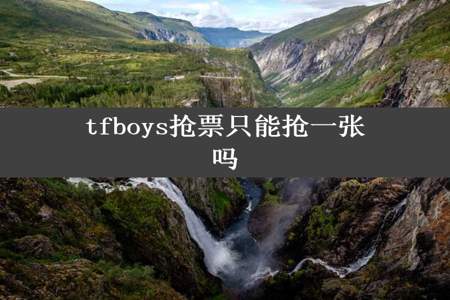 tfboys抢票只能抢一张吗