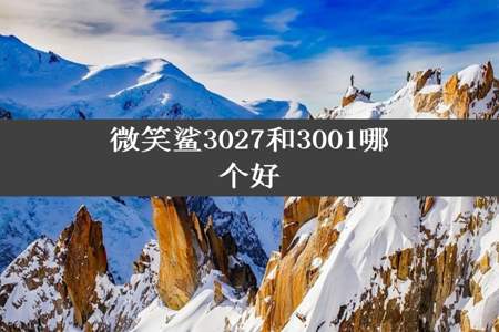 微笑鲨3027和3001哪个好