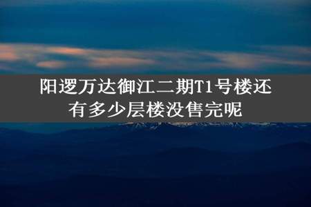 阳逻万达御江二期T1号楼还有多少层楼没售完呢