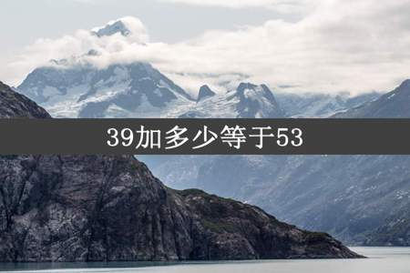 39加多少等于53