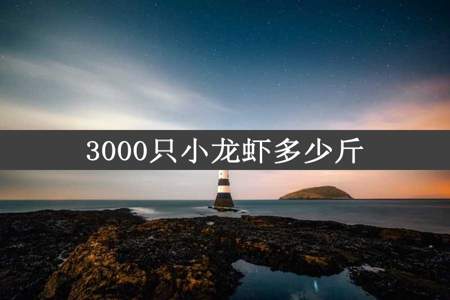 3000只小龙虾多少斤