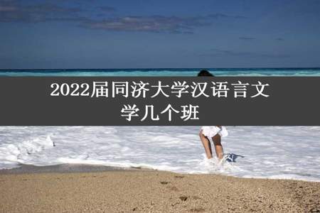 2022届同济大学汉语言文学几个班