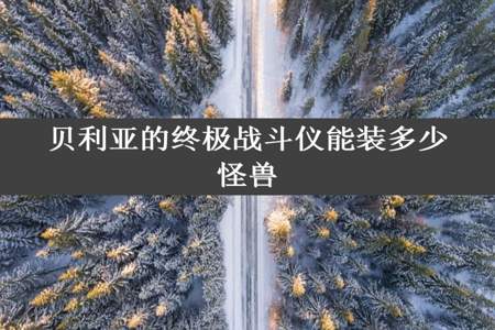 贝利亚的终极战斗仪能装多少怪兽