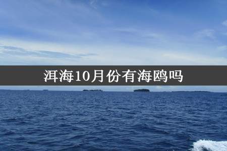 洱海10月份有海鸥吗