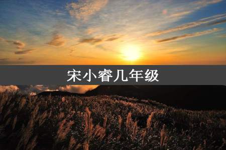 宋小睿几年级