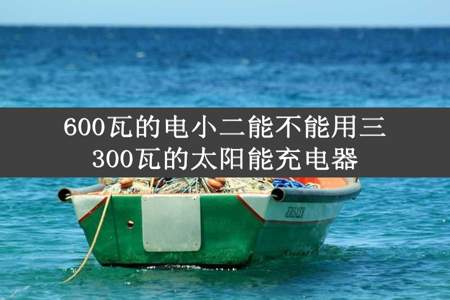 600瓦的电小二能不能用三300瓦的太阳能充电器