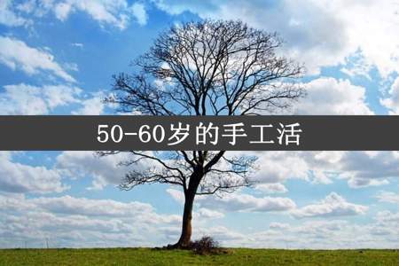 50-60岁的手工活