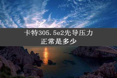 卡特305.5e2先导压力正常是多少