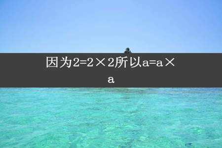 因为2=2×2所以a=a×a