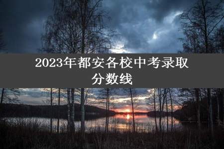 2023年都安各校中考录取分数线