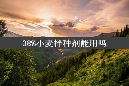 38%小麦拌种剂能用吗