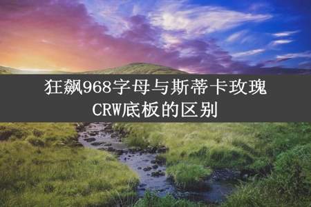 狂飙968字母与斯蒂卡玫瑰CRW底板的区别