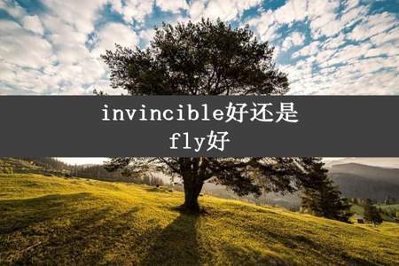 invincible好还是fly好