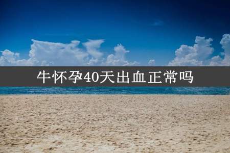 牛怀孕40天出血正常吗