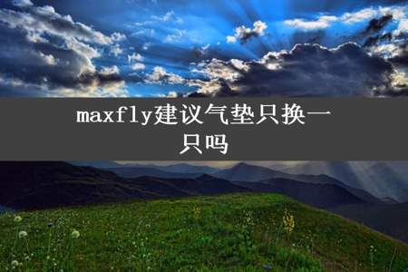 maxfly建议气垫只换一只吗