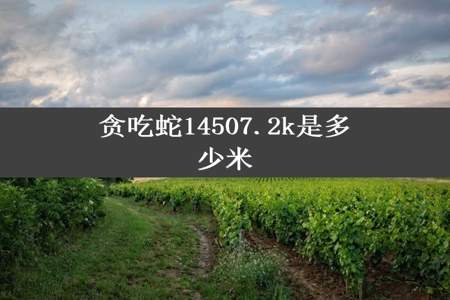 贪吃蛇14507.2k是多少米