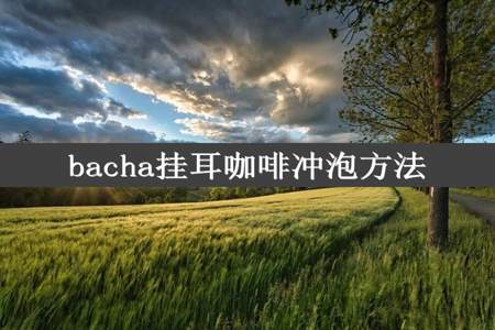 bacha挂耳咖啡冲泡方法