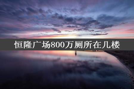 恒隆广场800万厕所在几楼