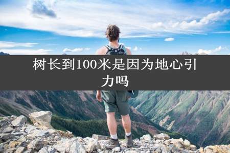 树长到100米是因为地心引力吗