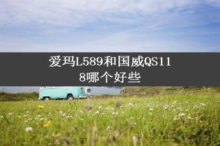 爱玛L589和国威QS118哪个好些