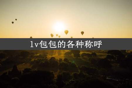 lv包包的各种称呼