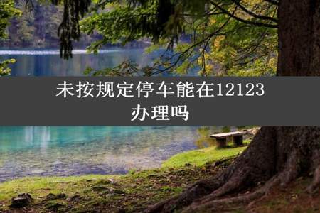 未按规定停车能在12123办理吗