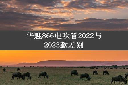 华魅866电吹管2022与2023款差别