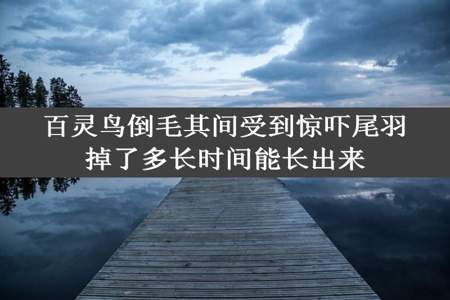 百灵鸟倒毛其间受到惊吓尾羽掉了多长时间能长出来