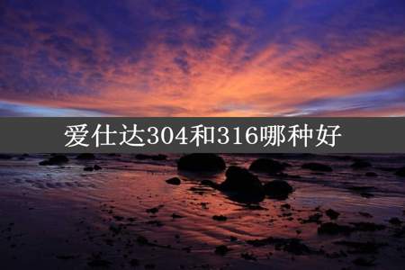 爱仕达304和316哪种好